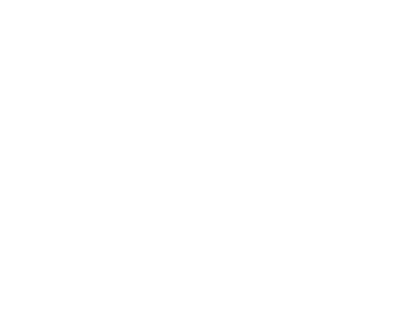 MaverickElectric_WHT
